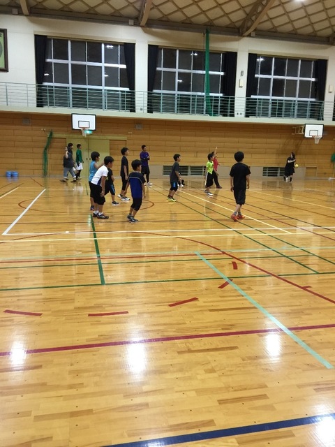 image-9b745.jpeg