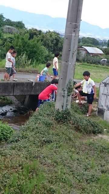 image-ab8d6.jpeg