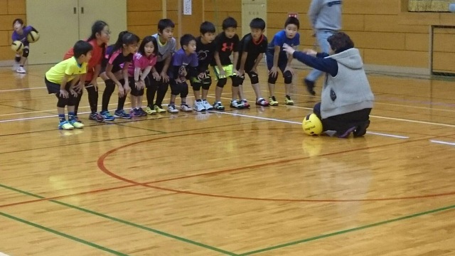 image-b7163.jpeg