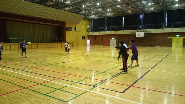 image-d9495.jpeg